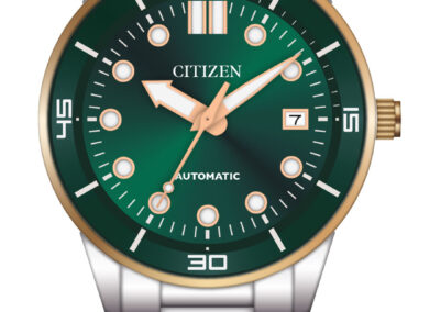 Citizen Watch Recreation